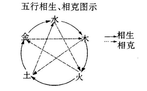 相乘相侮|五行乘侮